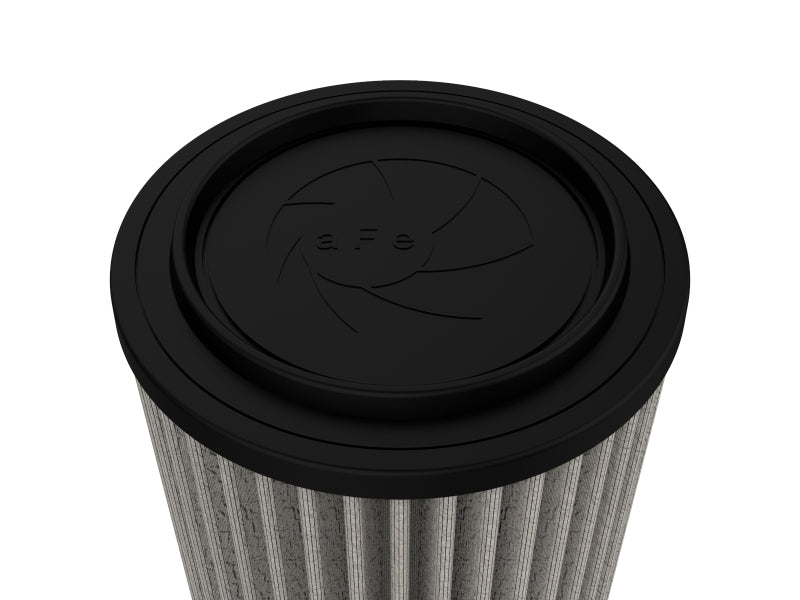 Photo - Close Up
